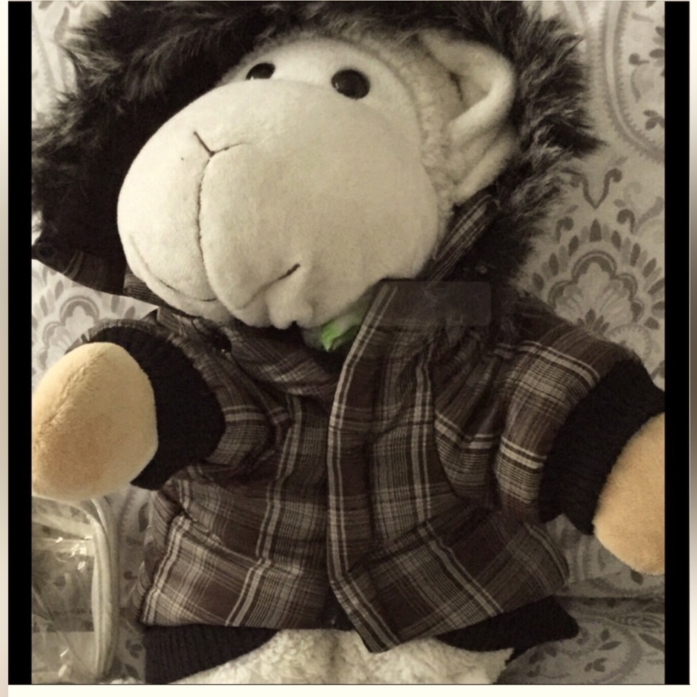 Plaid dog jacket Fun Fur Collar